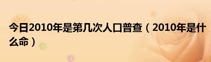 今日2010年是第几次人口普查（2010年是什么命）