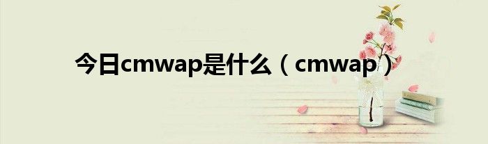 今日cmwap是什么（cmwap）
