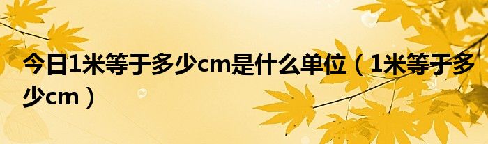 今日1米等于多少cm是什么单位（1米等于多少cm）