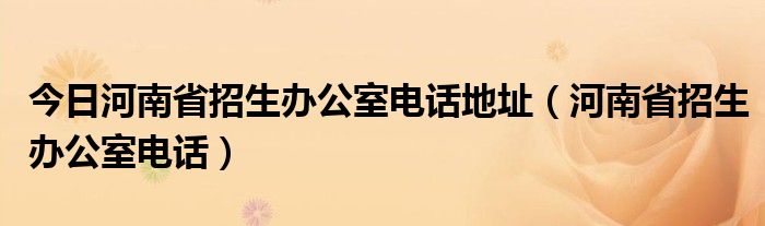 今日河南省招生办公室电话地址（河南省招生办公室电话）