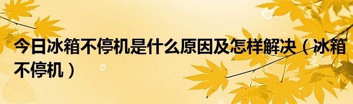 今日冰箱不停机是什么原因及怎样解决（冰箱不停机）