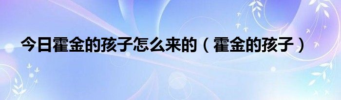 今日霍金的孩子怎么来的（霍金的孩子）