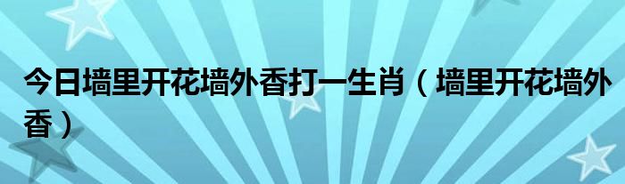 今日墙里开花墙外香打一生肖（墙里开花墙外香）