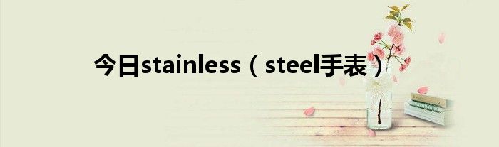 今日stainless（steel手表）