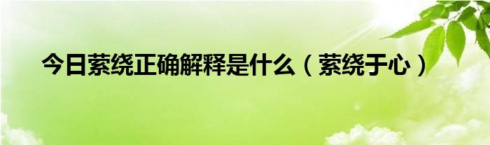今日萦绕正确解释是什么（萦绕于心）