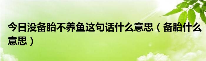 今日没备胎不养鱼这句话什么意思（备胎什么意思）