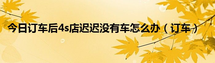 今日订车后4s店迟迟没有车怎么办（订车）