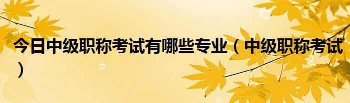 今日中级职称考试有哪些专业（中级职称考试）