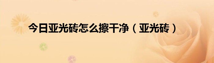 今日亚光砖怎么擦干净（亚光砖）