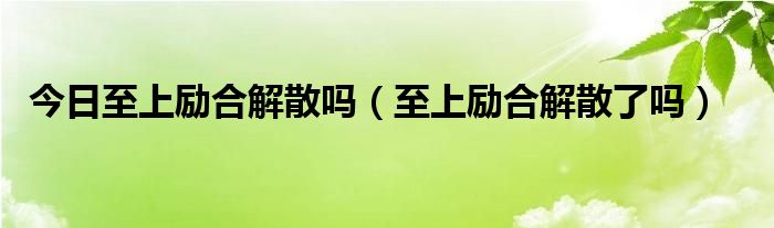今日至上励合解散吗（至上励合解散了吗）