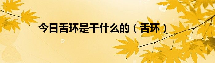 今日舌环是干什么的（舌环）
