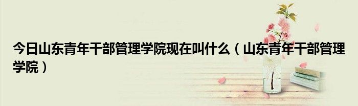 今日山东青年干部管理学院现在叫什么（山东青年干部管理学院）