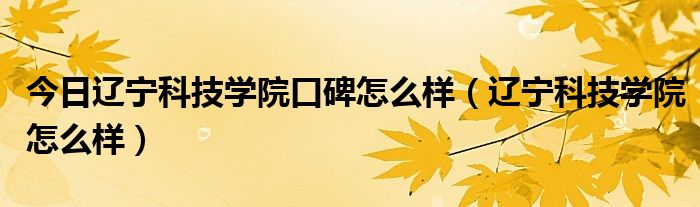 今日辽宁科技学院口碑怎么样（辽宁科技学院怎么样）