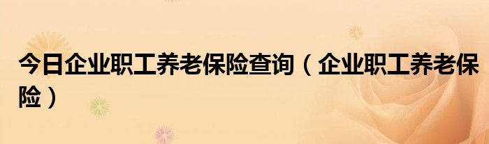 今日企业职工养老保险查询（企业职工养老保险）