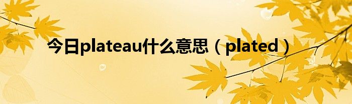 今日plateau什么意思（plated）