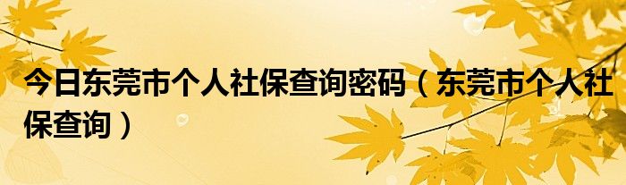 今日东莞市个人社保查询密码（东莞市个人社保查询）