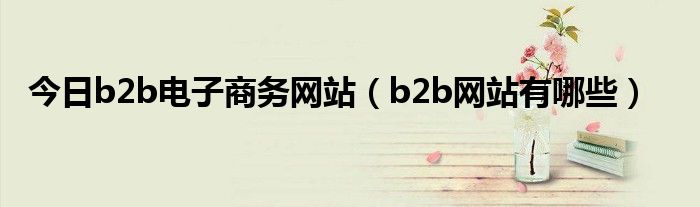 今日b2b电子商务网站（b2b网站有哪些）