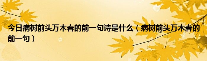 今日病树前头万木春的前一句诗是什么（病树前头万木春的前一句）