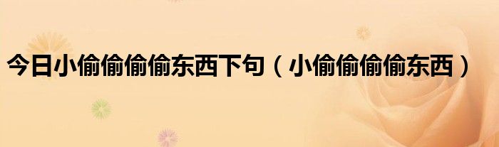 今日小偷偷偷偷东西下句（小偷偷偷偷东西）