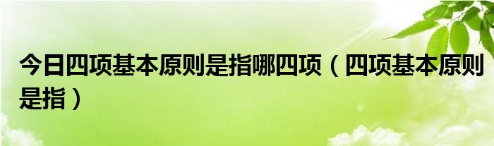 今日四项基本原则是指哪四项（四项基本原则是指）
