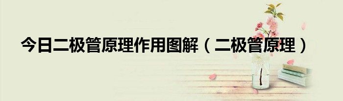 今日二极管原理作用图解（二极管原理）