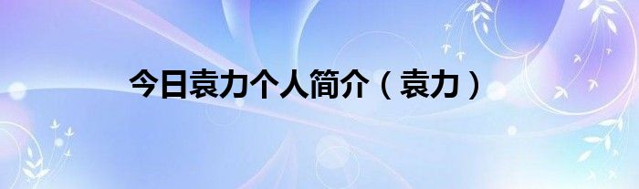 今日袁力个人简介（袁力）