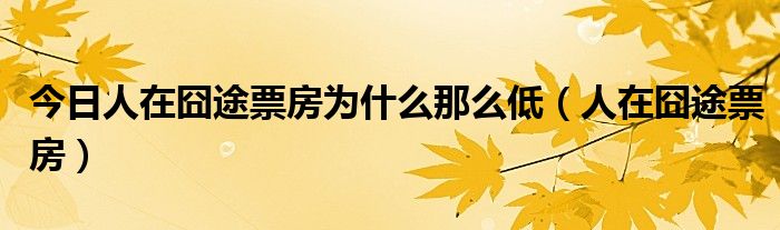 今日人在囧途票房为什么那么低（人在囧途票房）