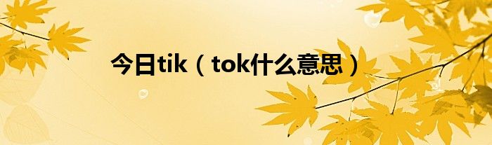 今日tik（tok什么意思）