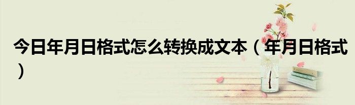 今日年月日格式怎么转换成文本（年月日格式）