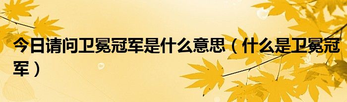 今日请问卫冕冠军是什么意思（什么是卫冕冠军）