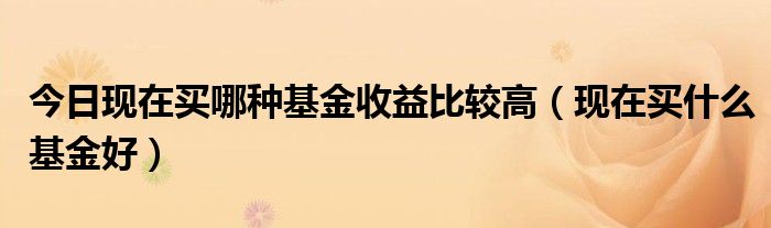 今日现在买哪种基金收益比较高（现在买什么基金好）