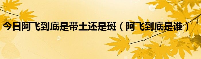 今日阿飞到底是带土还是斑（阿飞到底是谁）