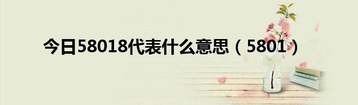 今日58018代表什么意思（5801）
