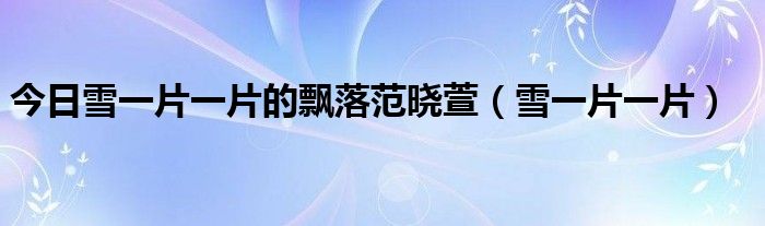 今日雪一片一片的飘落范晓萱（雪一片一片）