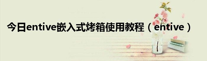 今日entive嵌入式烤箱使用教程（entive）