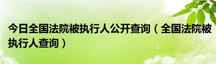今日全国法院被执行人公开查询（全国法院被执行人查询）