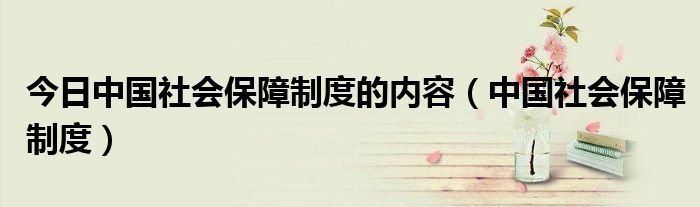 今日中国社会保障制度的内容（中国社会保障制度）
