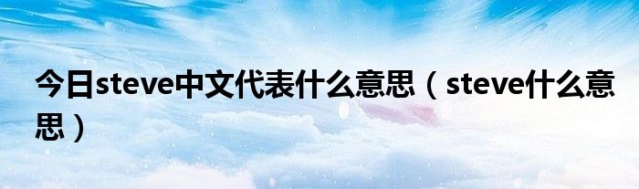 今日steve中文代表什么意思（steve什么意思）