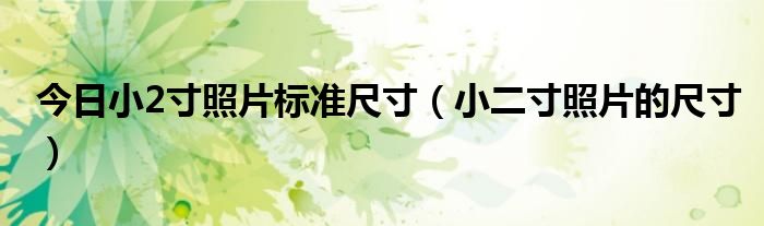 今日小2寸照片标准尺寸（小二寸照片的尺寸）