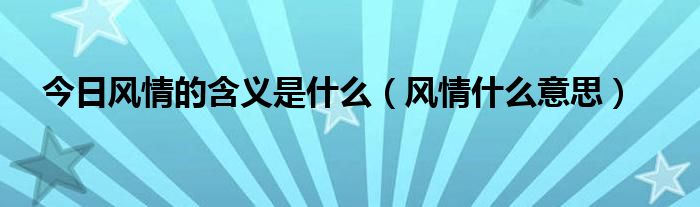今日风情的含义是什么（风情什么意思）