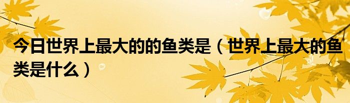 今日世界上最大的的鱼类是（世界上最大的鱼类是什么）