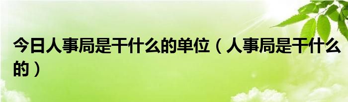 今日人事局是干什么的单位（人事局是干什么的）