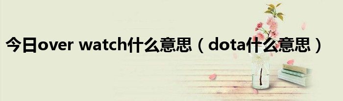 今日over watch什么意思（dota什么意思）