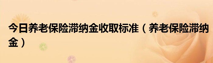 今日养老保险滞纳金收取标准（养老保险滞纳金）