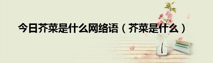 今日芥菜是什么网络语（芥菜是什么）