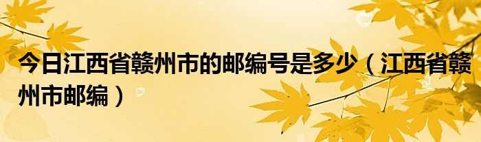 今日江西省赣州市的邮编号是多少（江西省赣州市邮编）