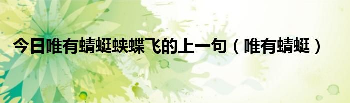 今日唯有蜻蜓蛱蝶飞的上一句（唯有蜻蜓）