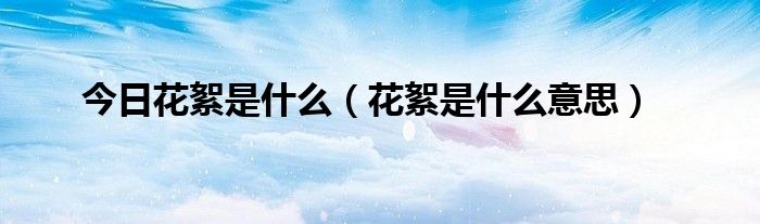 今日花絮是什么（花絮是什么意思）