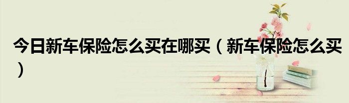 今日新车保险怎么买在哪买（新车保险怎么买）