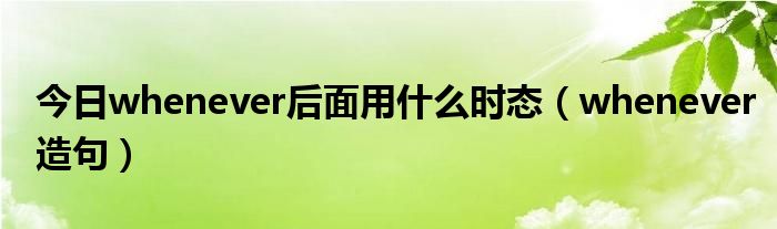 今日whenever后面用什么时态（whenever造句）